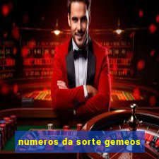 numeros da sorte gemeos